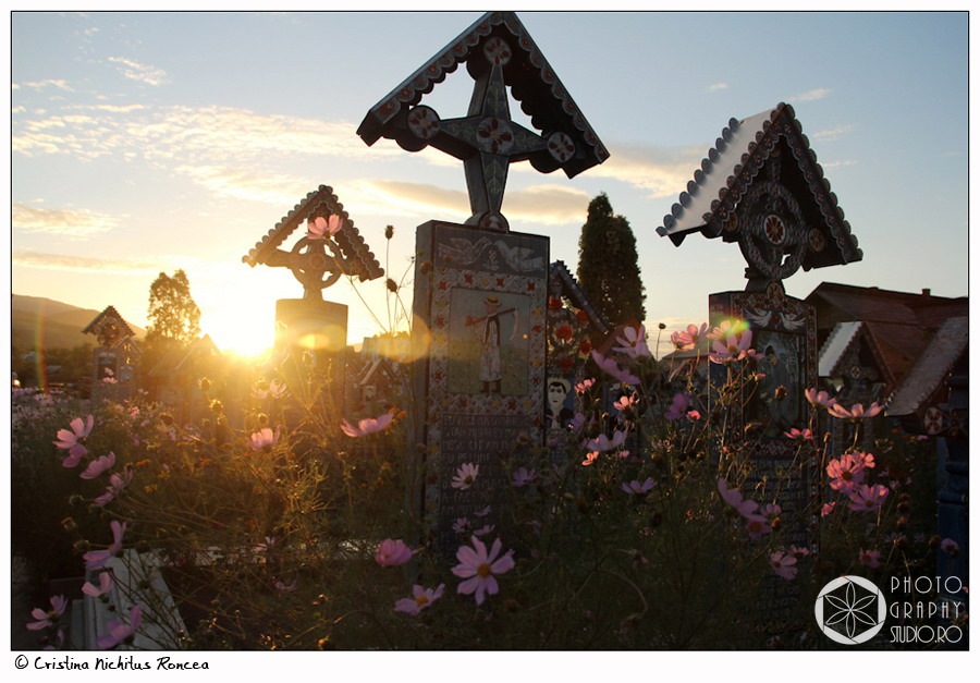 Crosses of The Merry Cemetery photo Cristina Nichitus Roncea